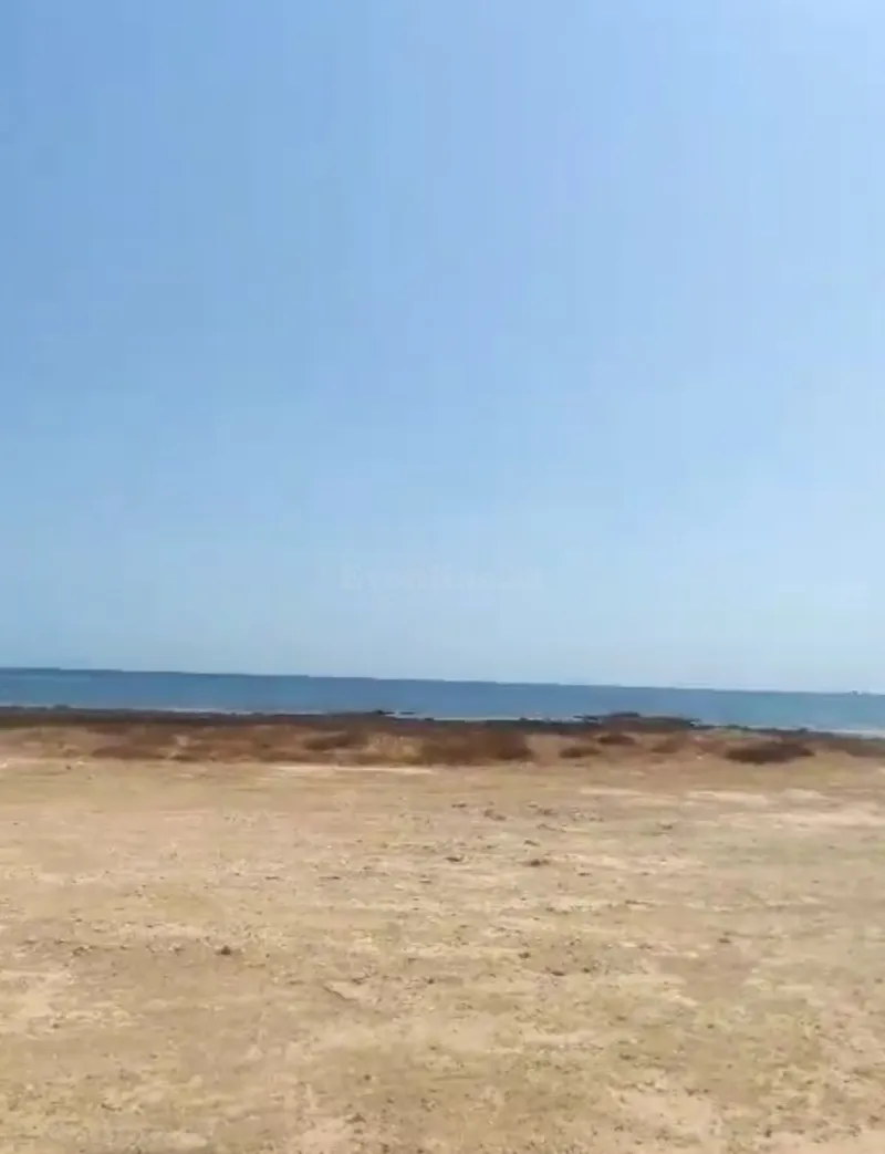 Satılır Torpaq 100 sot Türkan - şəkil 2