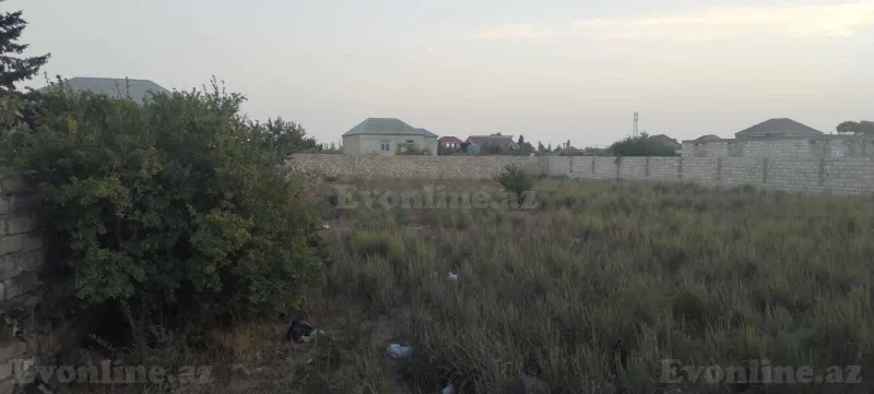 Satılır Torpaq 16 sot Albalılıq - şəkil 3