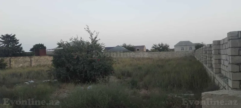 Satılır Torpaq 16 sot Albalılıq - şəkil 5