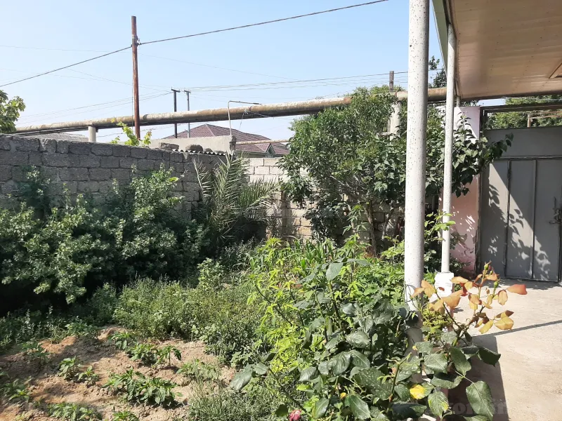 Satılır Torpaq 4.5 sot Binə - şəkil 5