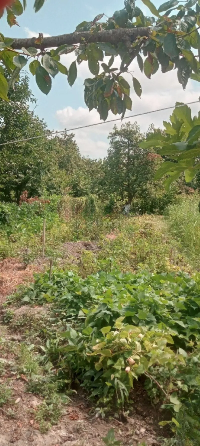 Satılır 4 otaqlı Həyət evi 87 m² Quba - şəkil 3