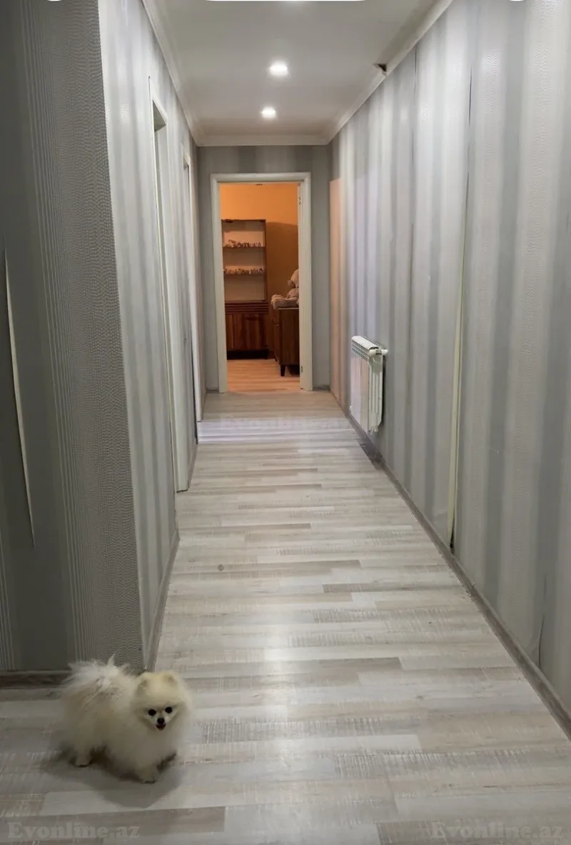 3 otaqlı Mənzil 81 m² Xırdalan Satılır