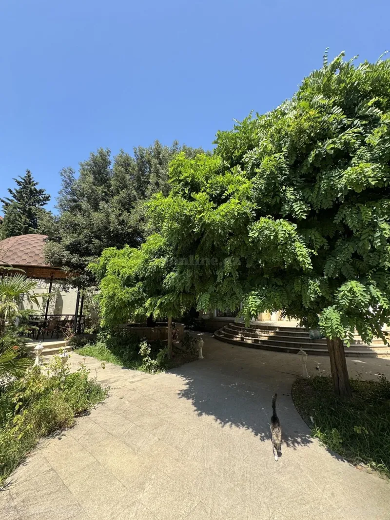 Satılır 6 otaqlı Həyət evi 420 m² Bilgəh - şəkil 4