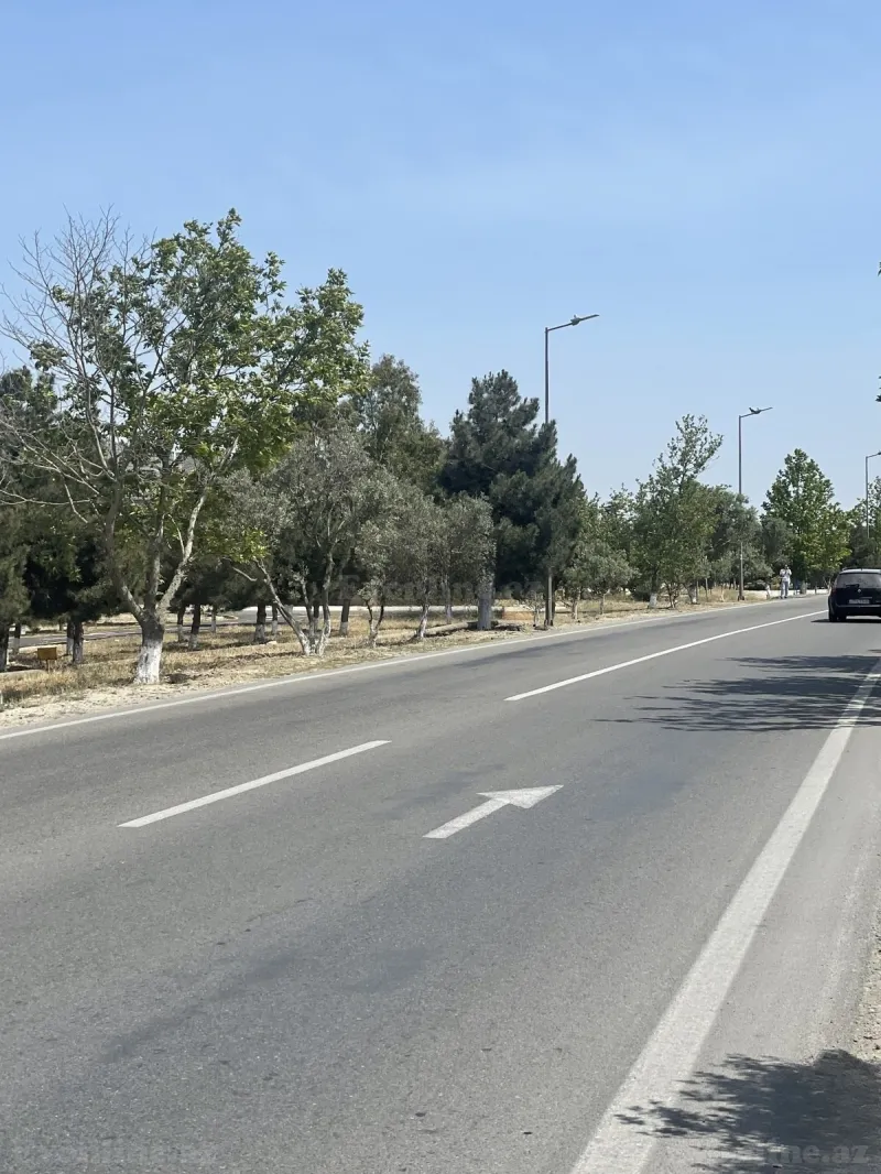 Satılır Torpaq 12 sot Xəzər r. - şəkil 3
