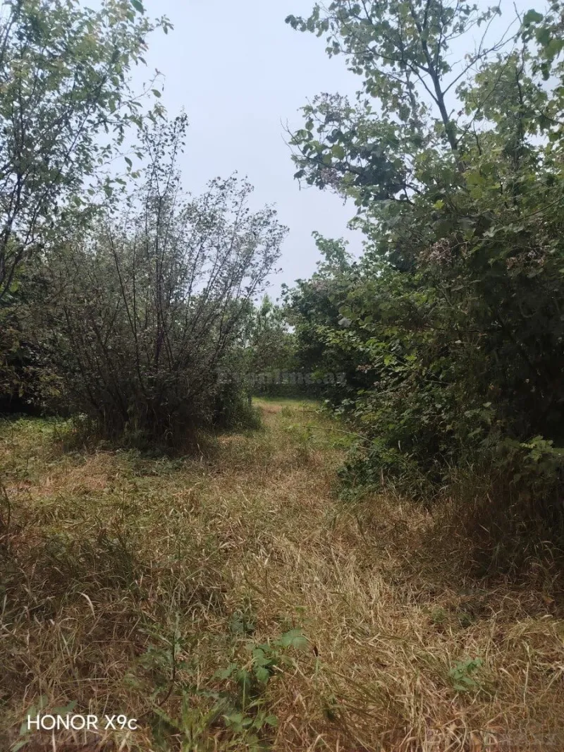 Satılır 3 otaqlı Həyət evi 150 m² Xaçmaz - şəkil 8