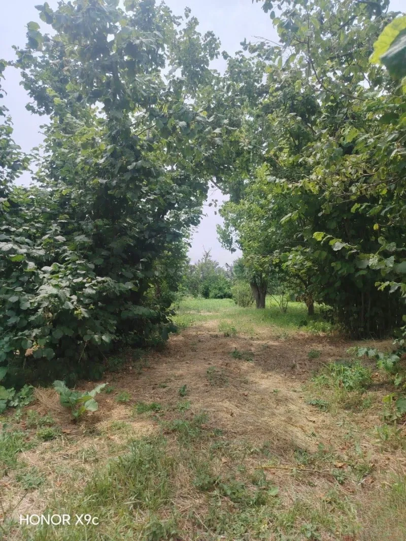 Satılır 3 otaqlı Həyət evi 150 m² Xaçmaz - şəkil 11