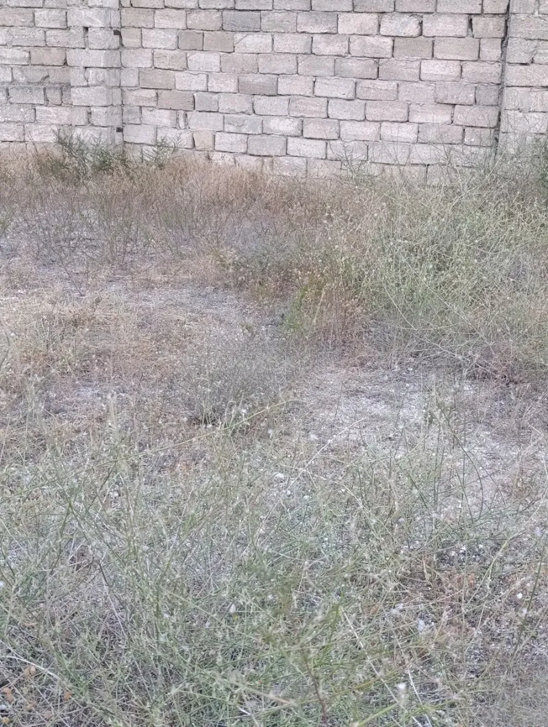 Satılır Torpaq 12 sot Hövsan - şəkil 3