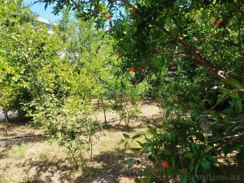 Satılır 3 otaqlı Həyət evi 100 m² Savalan - şəkil 11
