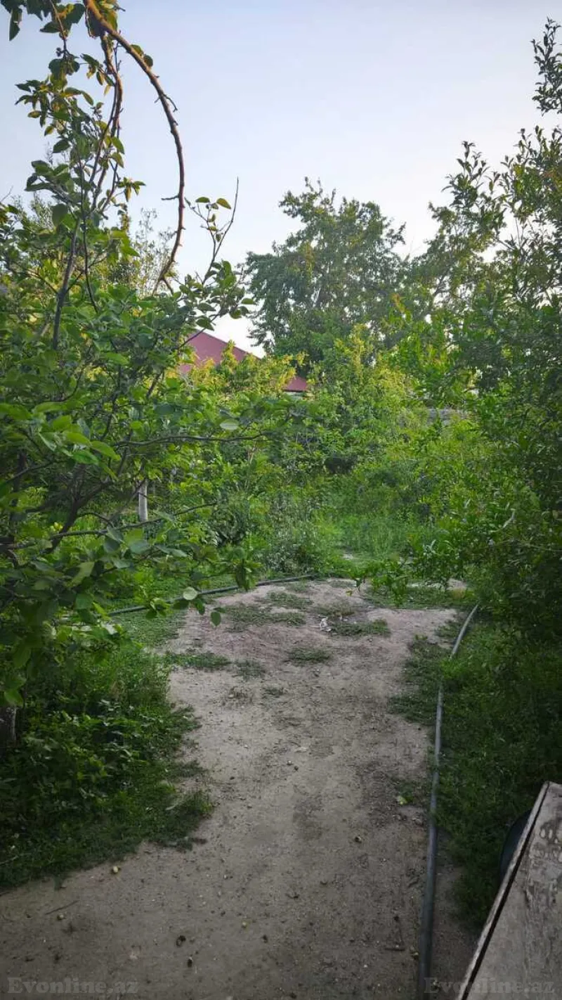 Kirayə verilir 2 otaqlı Həyət evi 60 m² Mərdəkan - şəkil 3