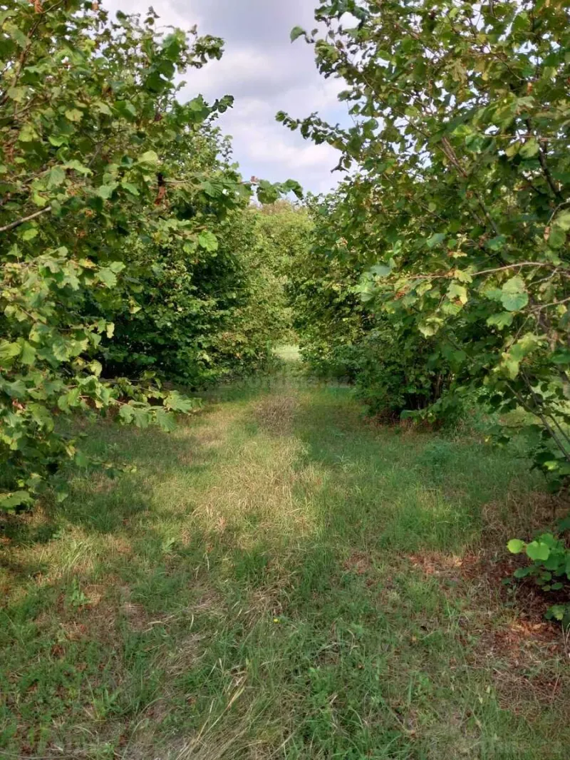 Satılır 7 otaqlı Həyət evi 110 m² Qəbələ