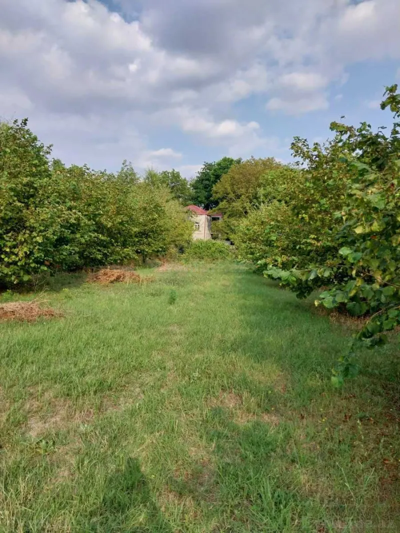 Satılır 7 otaqlı Həyət evi 110 m² Qəbələ - şəkil 3