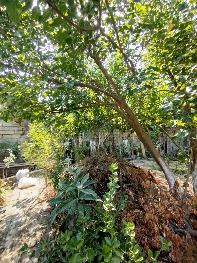 Satılır 5 otaqlı Həyət evi 177 m² Novxanı - şəkil 24