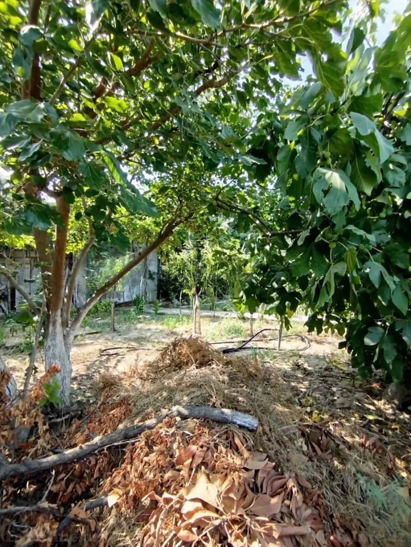 Satılır 5 otaqlı Həyət evi 177 m² Novxanı - şəkil 25