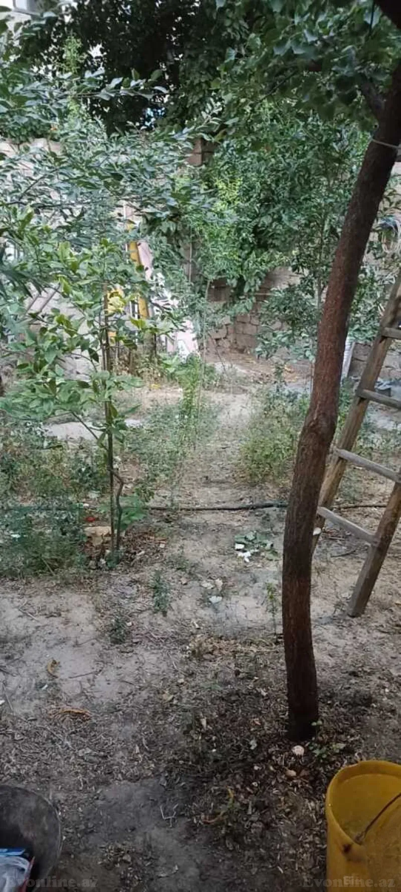 Satılır Obyekt 80 m² Həzi Aslanov - şəkil 7