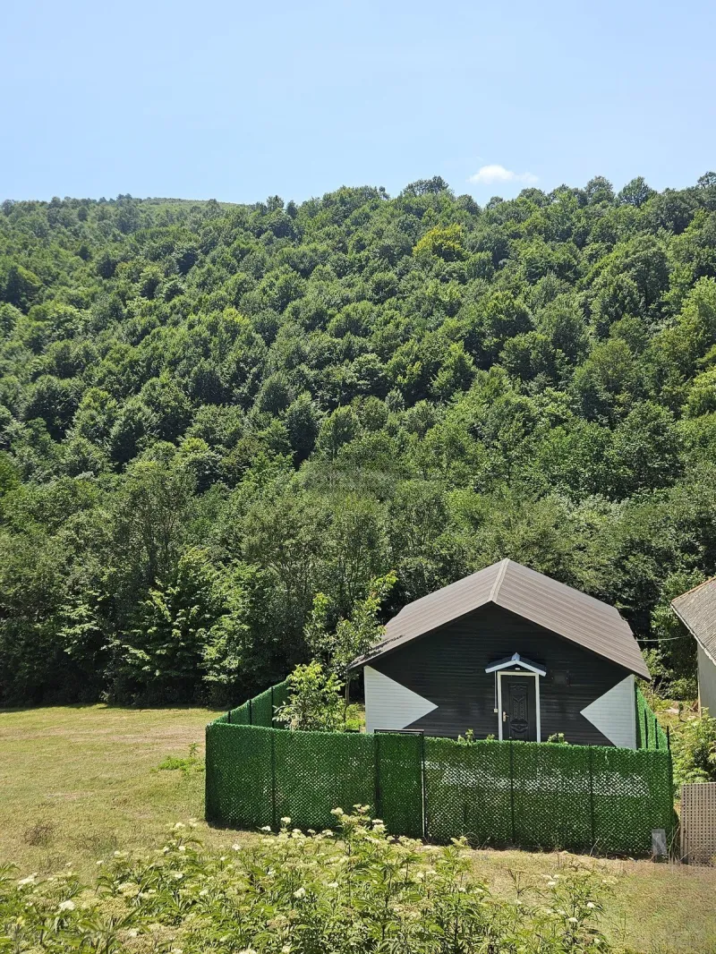 3 otaqlı Həyət evi 50 m² Lerik Kirayə verilir