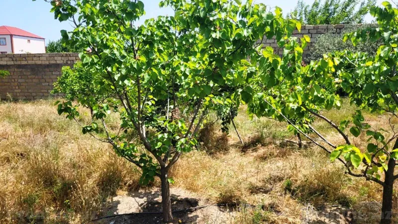 Satılır 5 otaqlı Həyət evi 150 m² Novxanı - şəkil 14