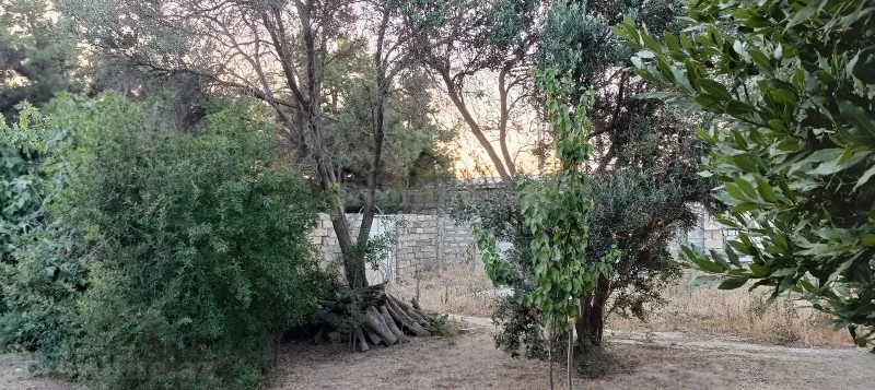 Satılır Torpaq 4 sot Mərdəkan - şəkil 4