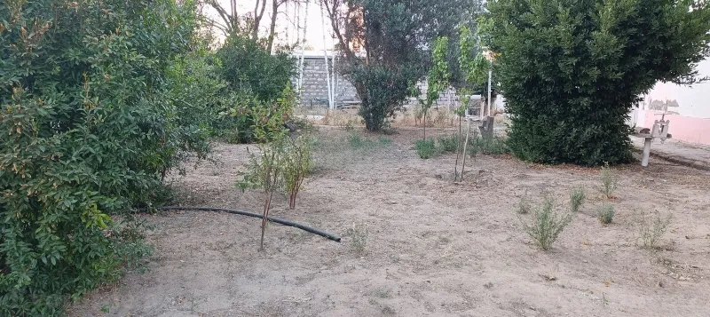 Satılır Torpaq 4 sot Mərdəkan - şəkil 6