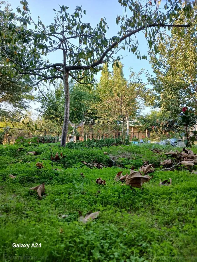 Satılır 8 otaqlı Həyət evi 200 m² Novxanı - şəkil 2