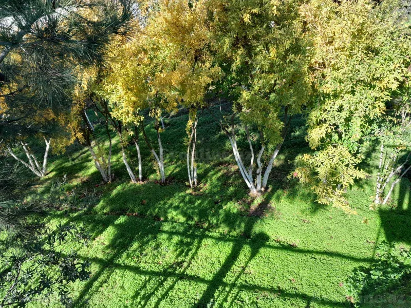 Satılır 8 otaqlı Həyət evi 200 m² Novxanı - şəkil 3