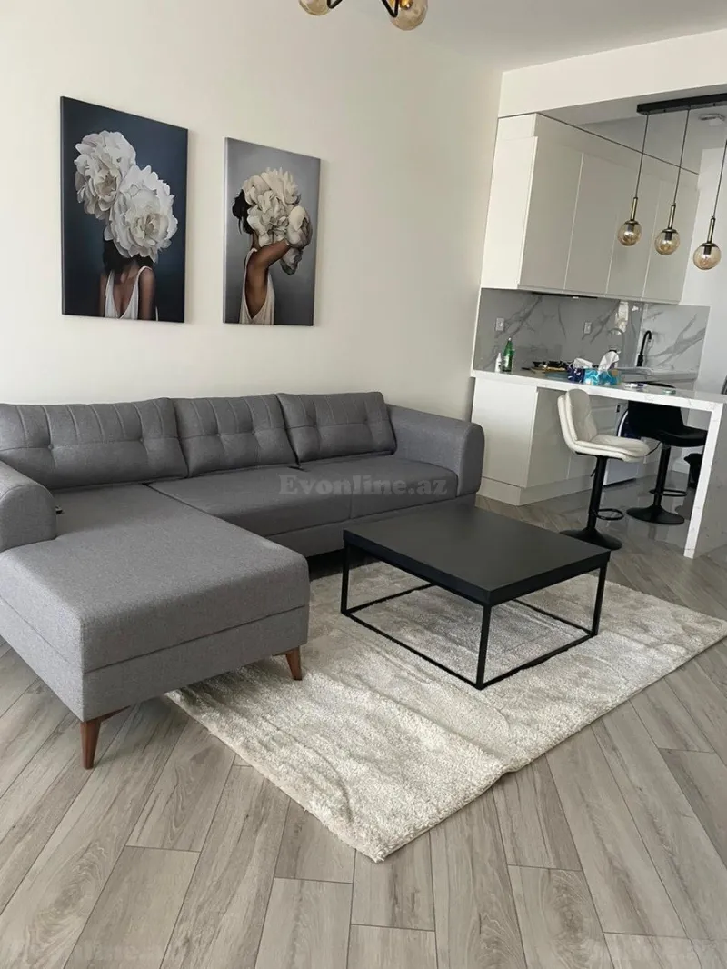 Kirayə verilir 2 otaqlı Mənzil Yeni tikili 71 m² Nərimanov r. - şəkil 2
