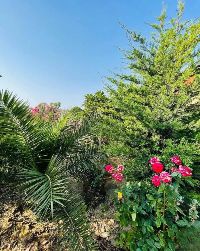 Kirayə verilir 6 otaqlı Həyət evi 450 m² Buzovna - şəkil 7