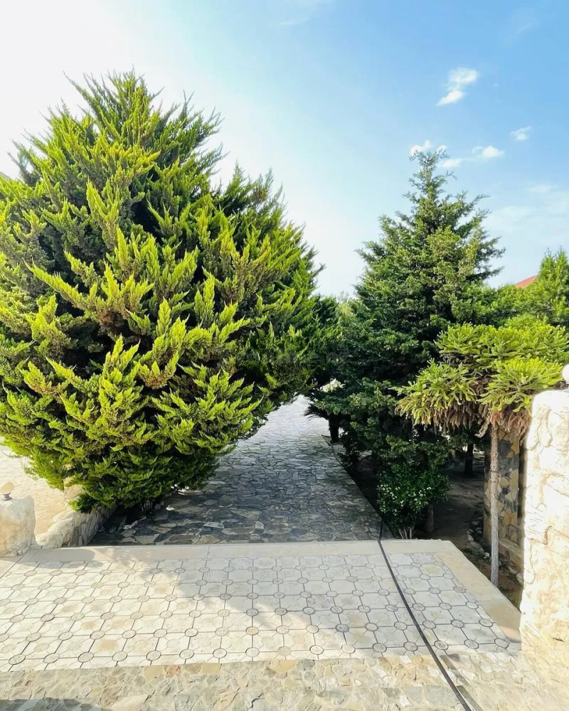 Kirayə verilir 6 otaqlı Həyət evi 400 m² Bilgəh - şəkil 6
