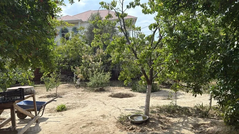 Satılır Torpaq 6 sot Badamdar