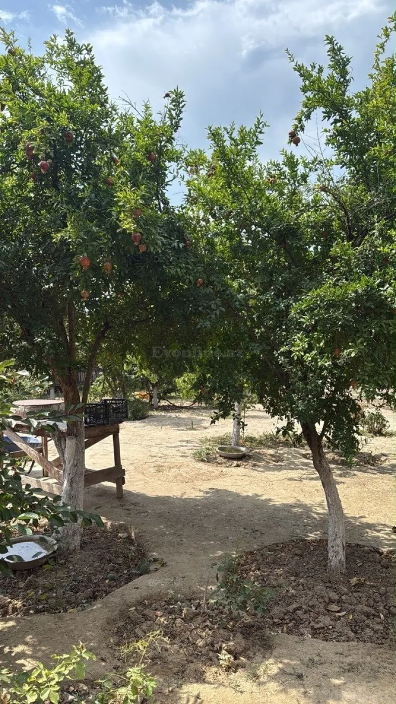 Satılır Torpaq 6 sot Badamdar - şəkil 4