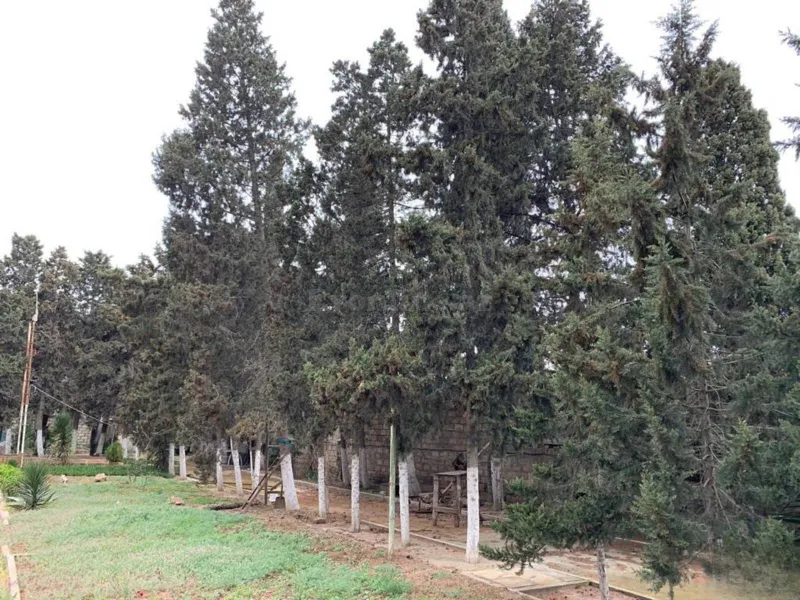 Torpaq Mərdəkan Satılır