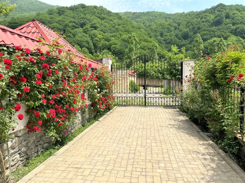 5 otaqlı Həyət evi 460 m² Qəbələ Satılır