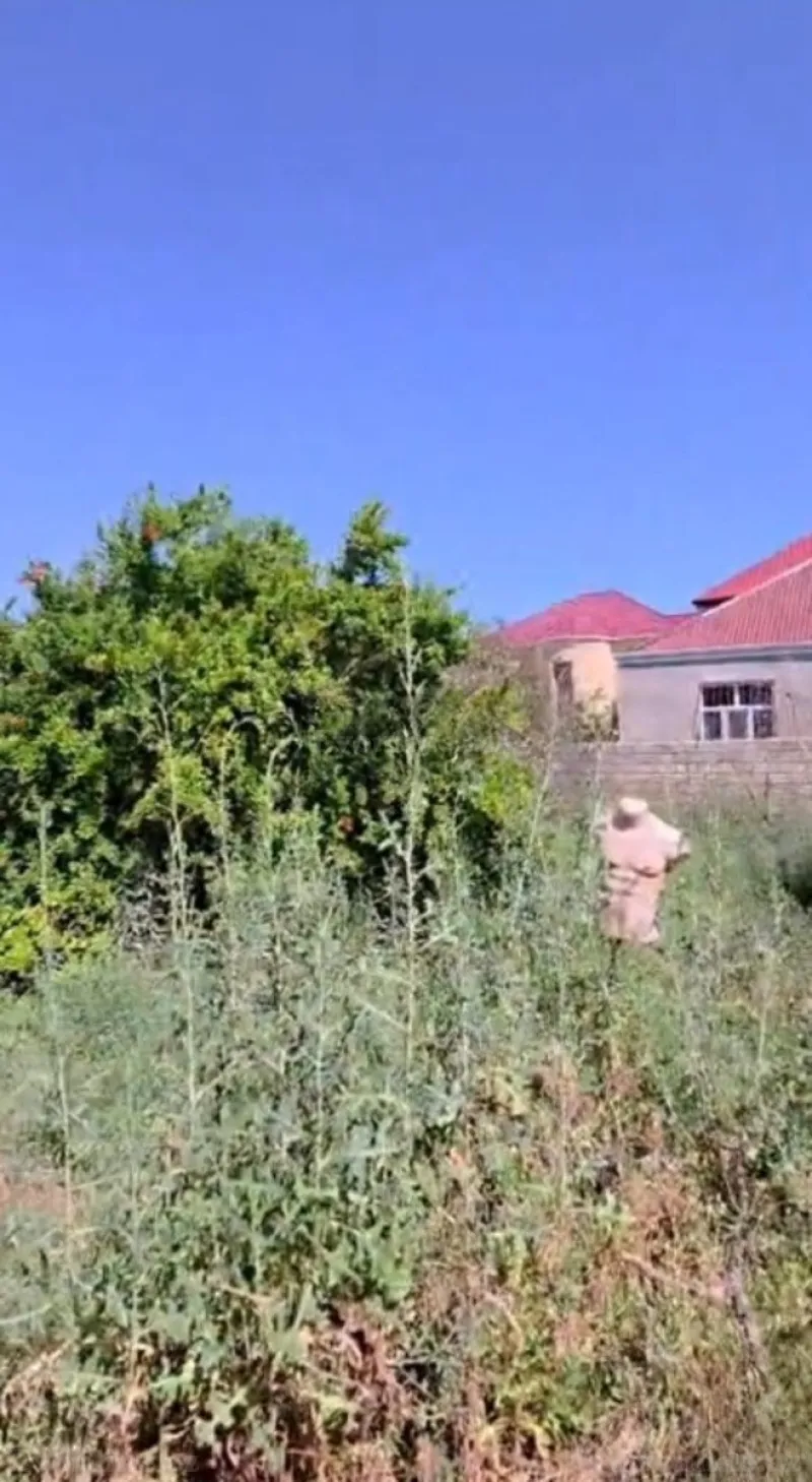 Satılır Torpaq 30 sot Masazır - şəkil 2