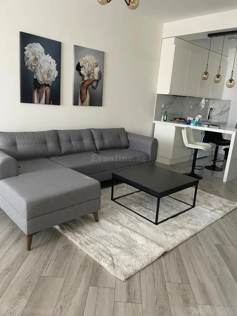Kirayə verilir 2 otaqlı Mənzil Yeni tikili 71 m² 28 May m. - şəkil 2