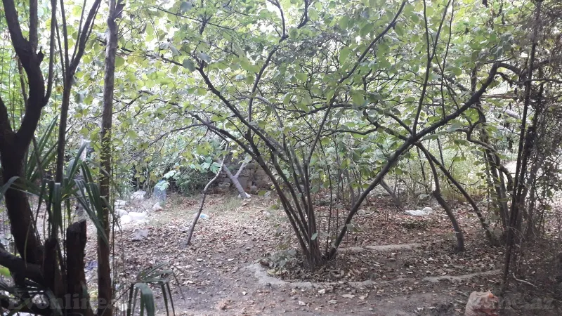 Satılır Torpaq 3 sot Biləcəri - şəkil 5