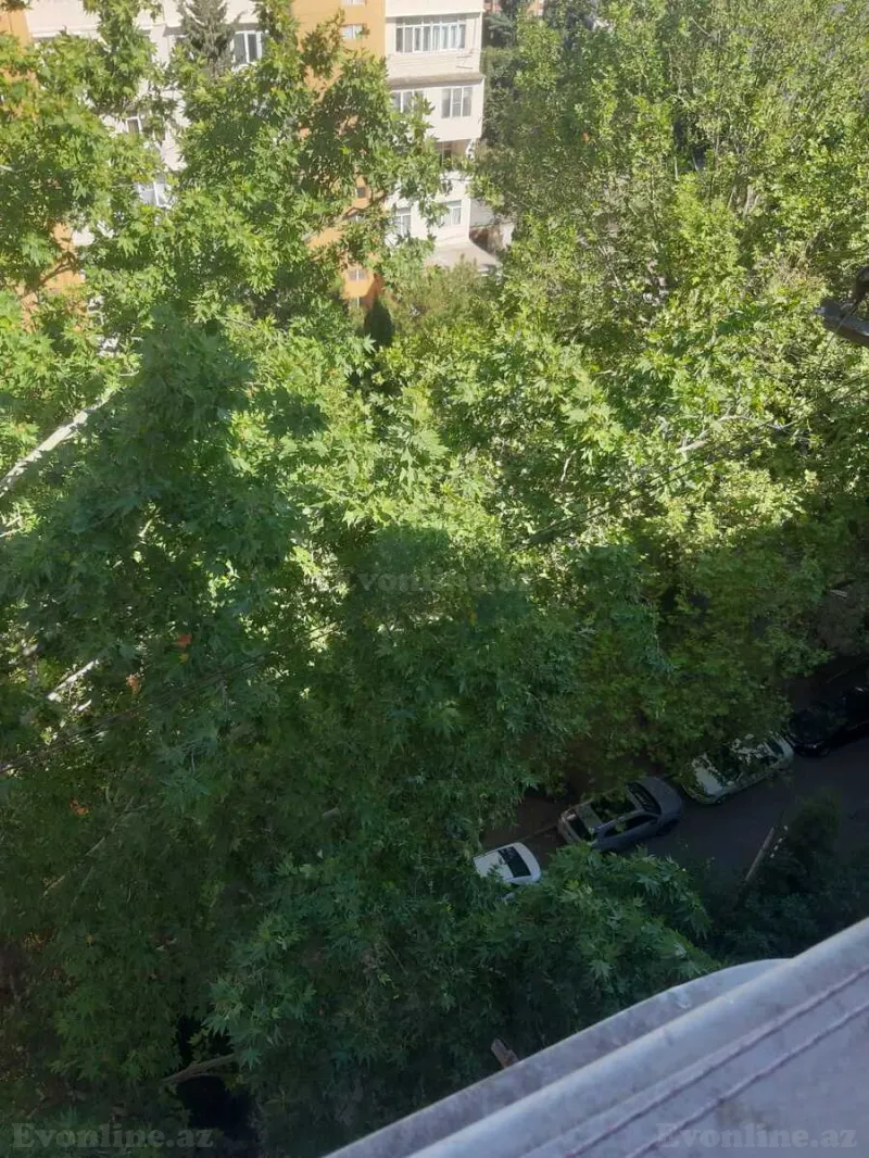 Satılır 4 otaqlı Mənzil Köhnə tikili 100 m² 9-cu mikrorayon - şəkil 20