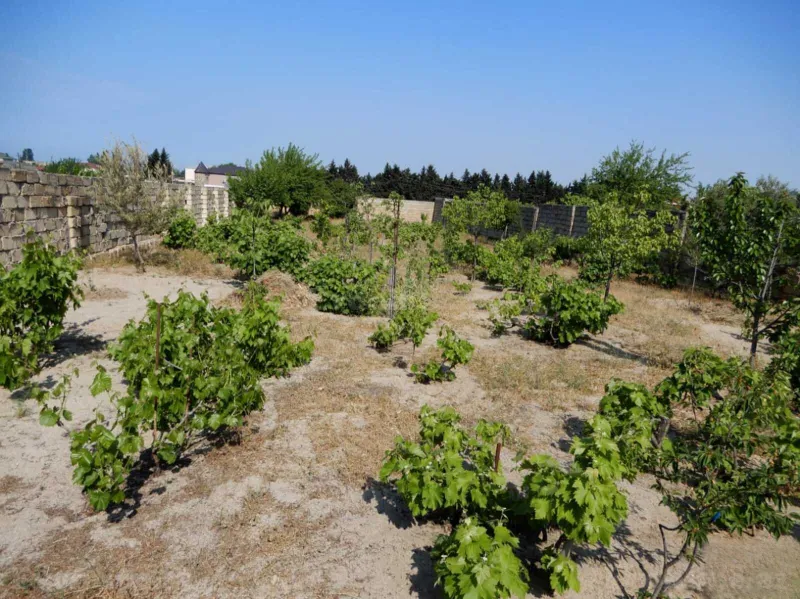 Kirayə verilir 5 otaqlı Həyət evi 160 m² Novxanı - şəkil 16