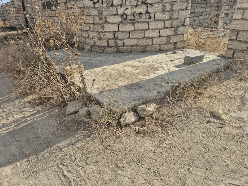 Satılır Torpaq 6 sot Albalılıq - şəkil 7