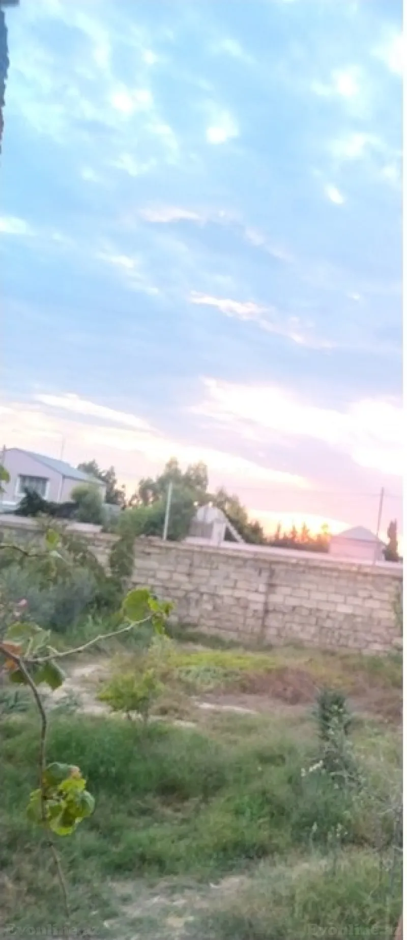 Satılır Torpaq 6 sot Zirə - şəkil 2