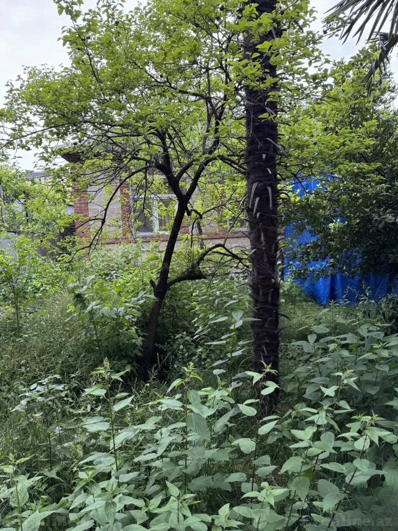 Satılır 3 otaqlı Həyət evi 80 m² Zaqatala - şəkil 4