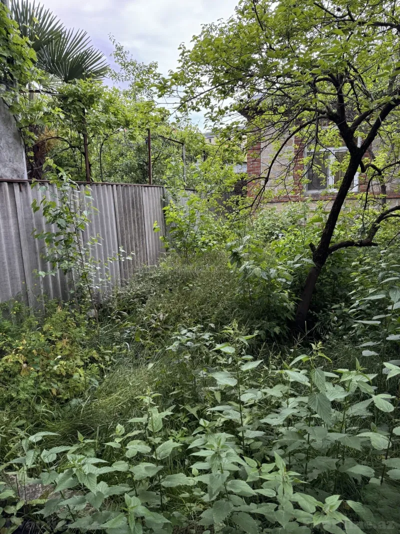 Satılır 3 otaqlı Həyət evi 80 m² Zaqatala - şəkil 5
