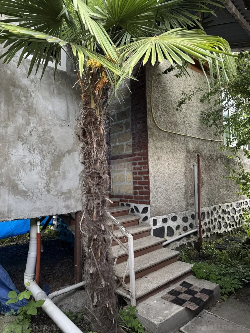 Satılır 3 otaqlı Həyət evi 80 m² Zaqatala - şəkil 9