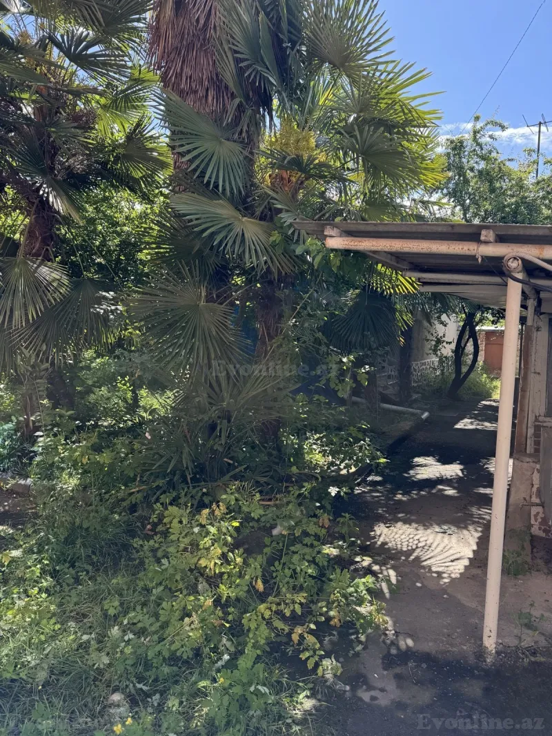 Satılır 3 otaqlı Həyət evi 80 m² Zaqatala - şəkil 20
