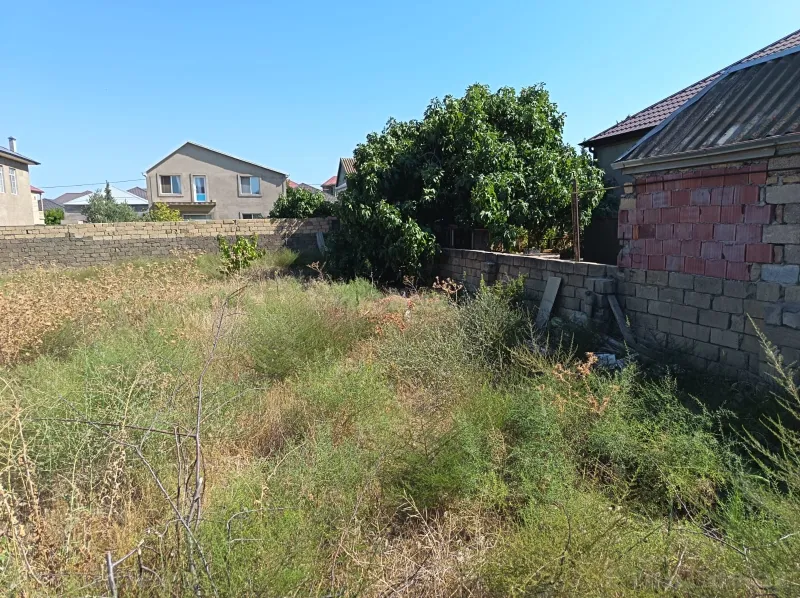 Satılır Torpaq 10 sot Saray - şəkil 2
