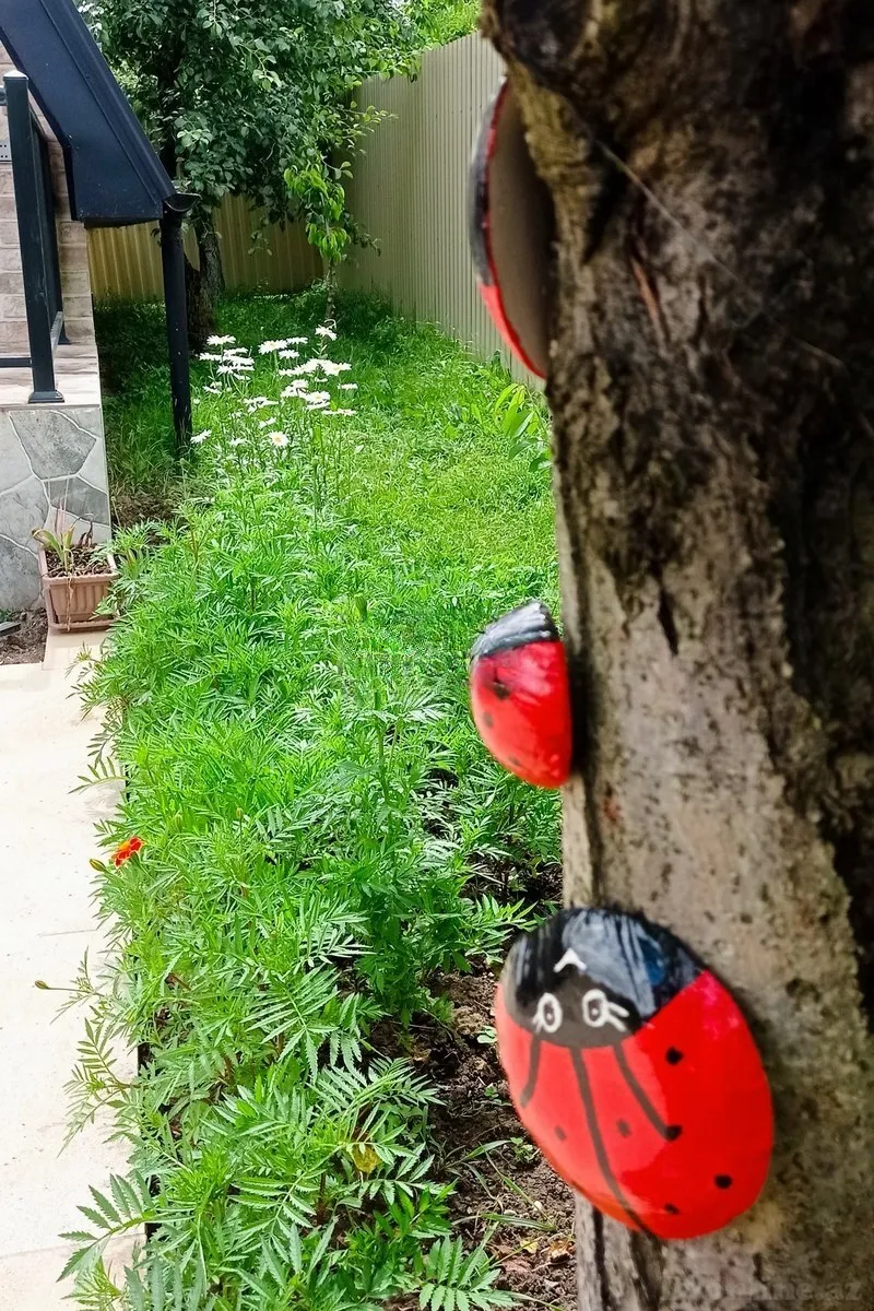 Kirayə verilir 3 otaqlı Həyət evi 77 m² Quba - şəkil 5