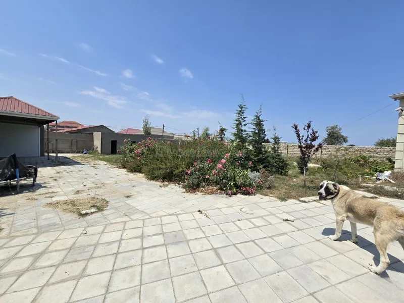 Satılır Torpaq 8 sot Nardaran - şəkil 2