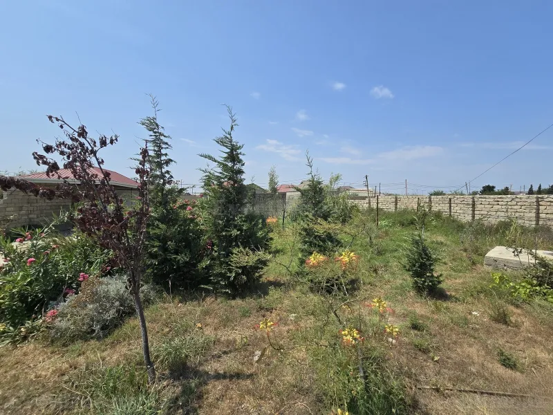 Satılır Torpaq 8 sot Nardaran - şəkil 4
