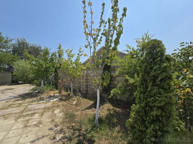 Satılır Torpaq 8 sot Nardaran - şəkil 5