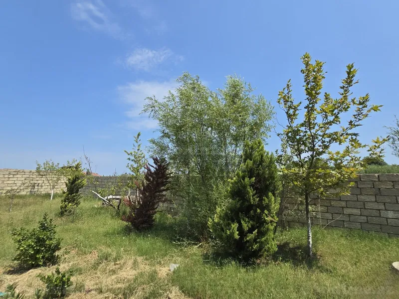 Satılır Torpaq 8 sot Nardaran - şəkil 12
