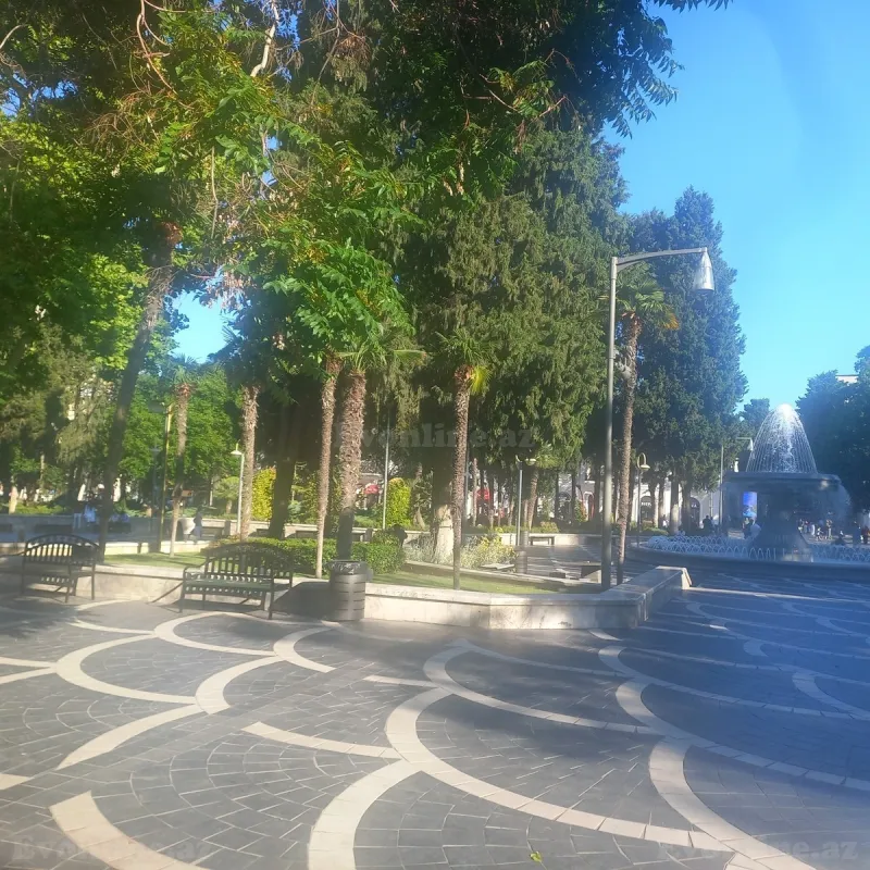 Kirayə verilir Ofis 60 m² Sahil m. - şəkil 6