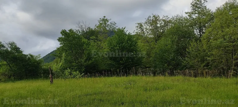 Satılır Torpaq 5 sot Qəbələ - şəkil 3